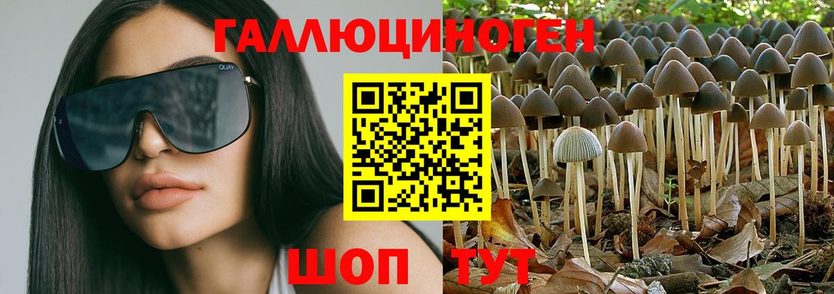 Галлюциногенные грибы мицелий  Вход с VPN  Учалы  Галлюциногенные грибы Psilocybine cubensis 